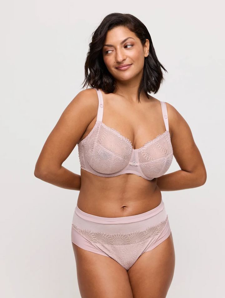 Sophora Full Brief