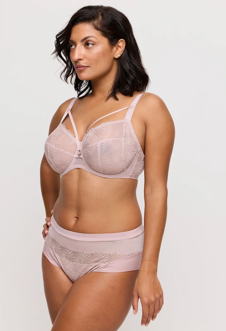 Sophora Full Brief