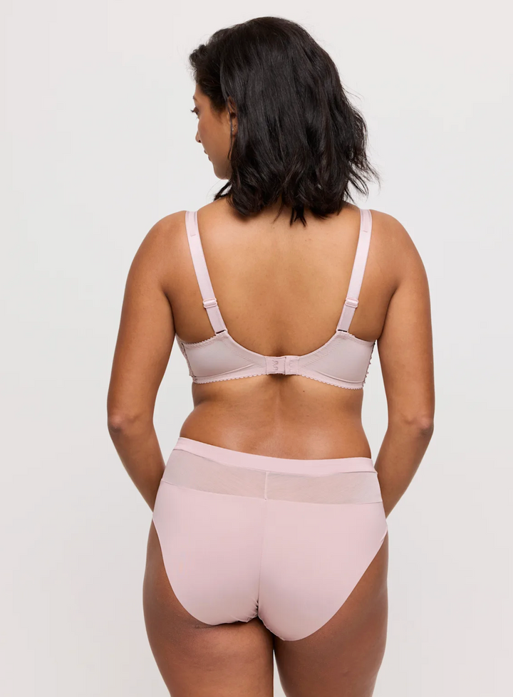 Sophora Full Brief