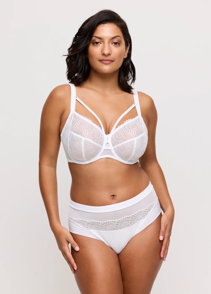 Sophora Full Brief