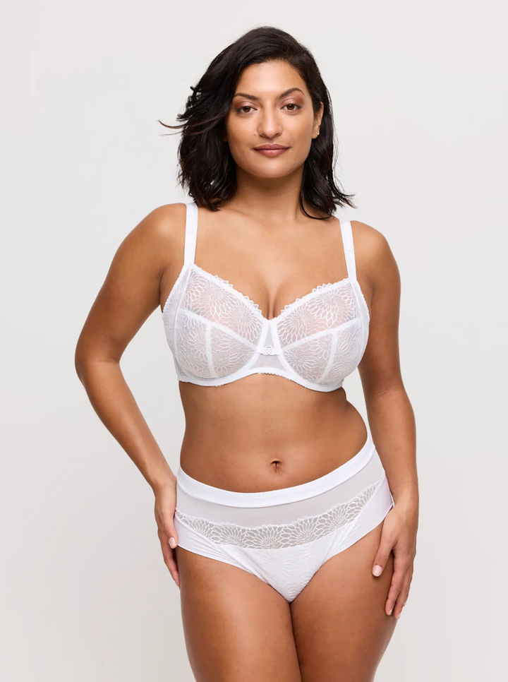 Sophora Full Brief