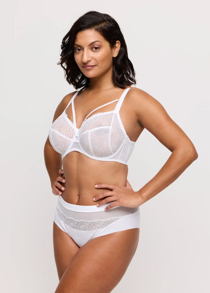 Sophora Full Brief