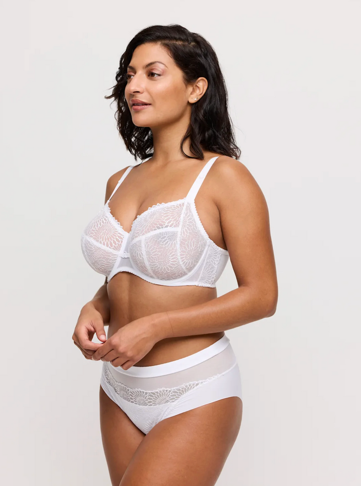 Sophora Full Brief
