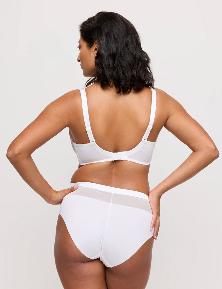 Sophora Full Brief