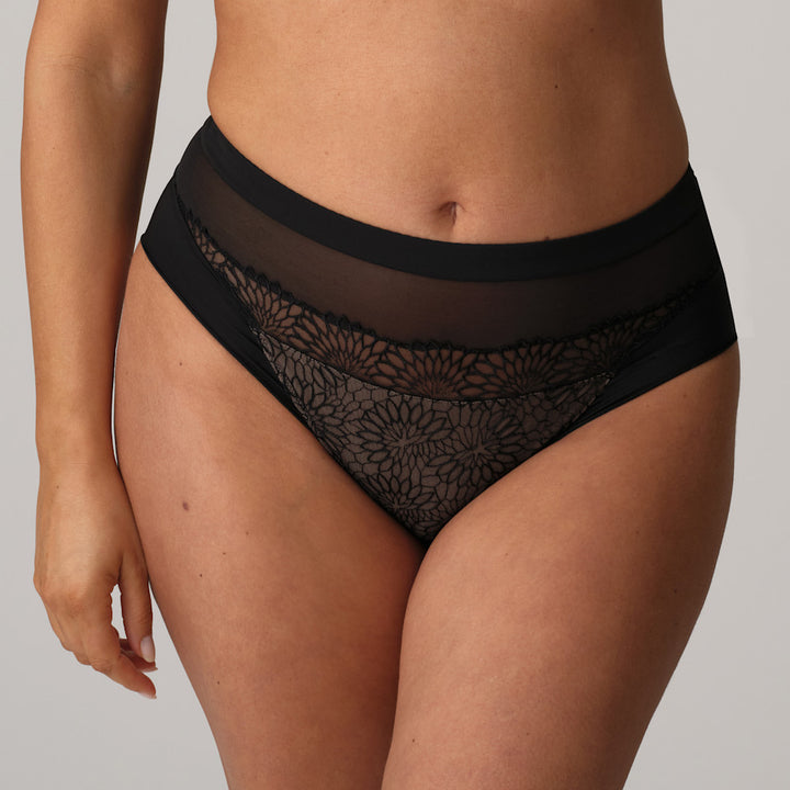 Sophora Full Brief