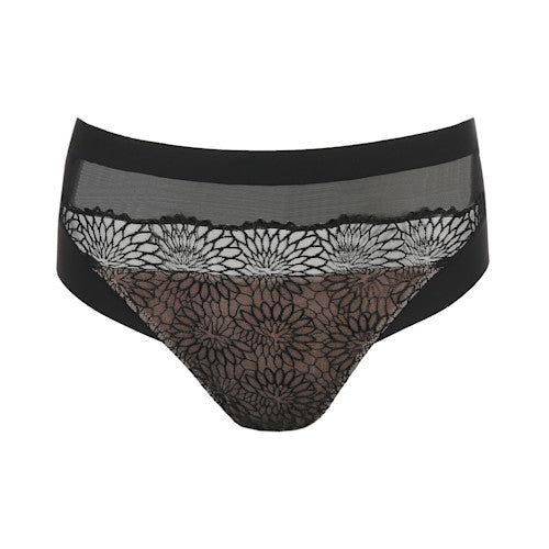 Sophora Full Brief