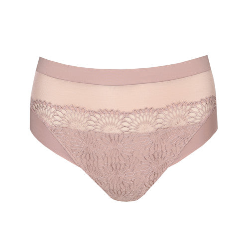 Sophora Full Brief