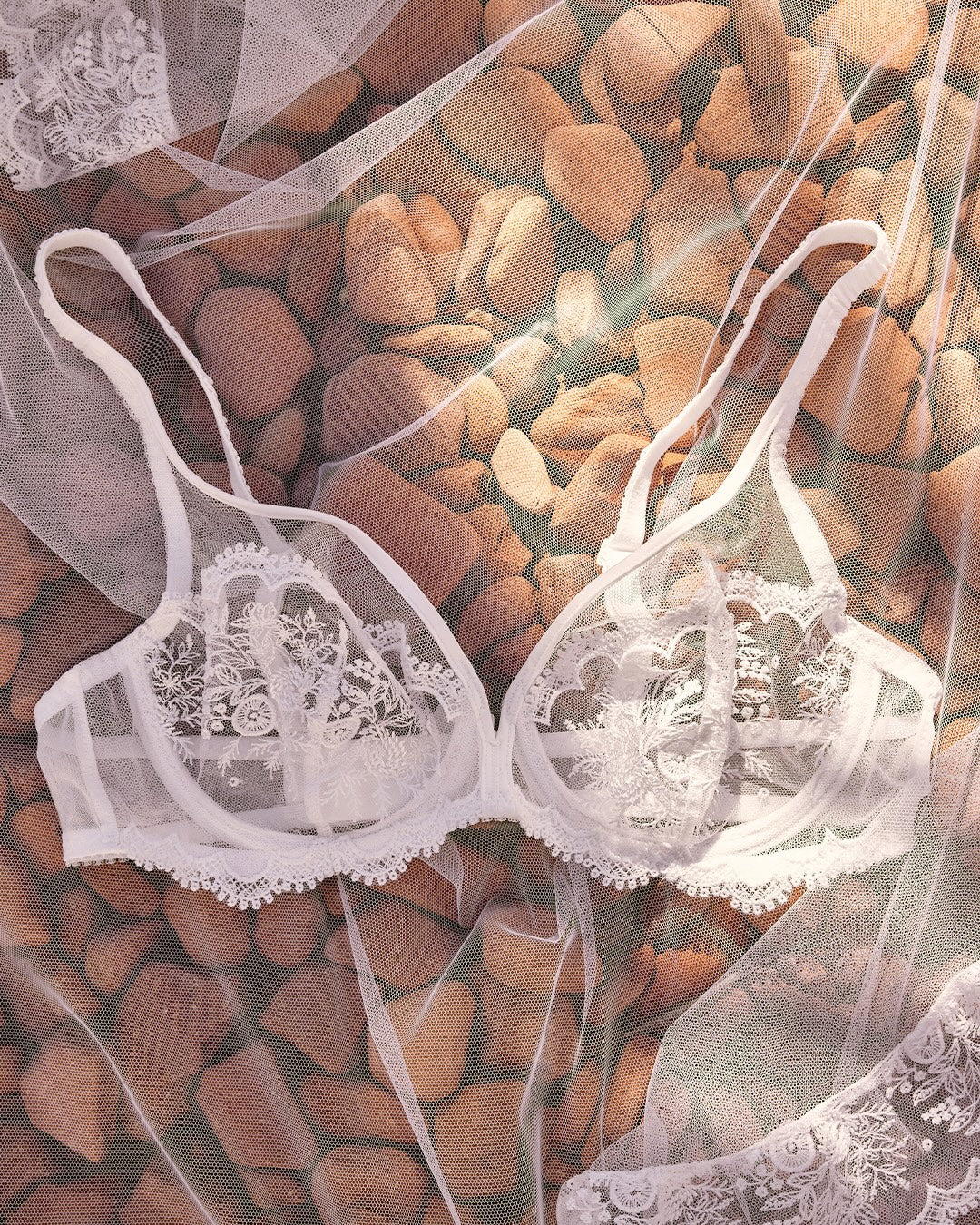 Lingerie Rpublique | Premium Bras, Intimates, and Expert Fit Services Lingerie Rpublique | Premium Bras, Intimates, and Expert Fit Services