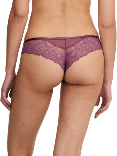 Orangerie Dream Tanga Tannin XS - L