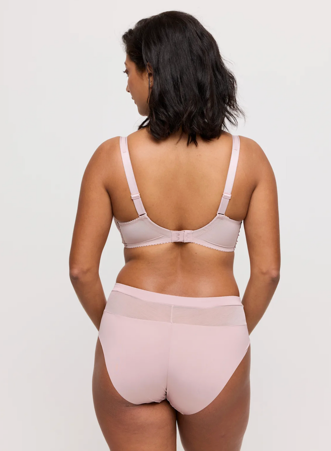 Sophora Full Brief