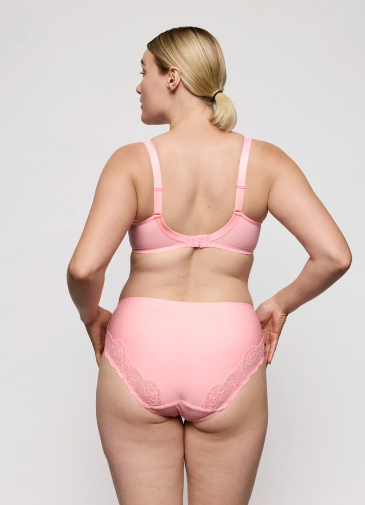 Madison Full Brief