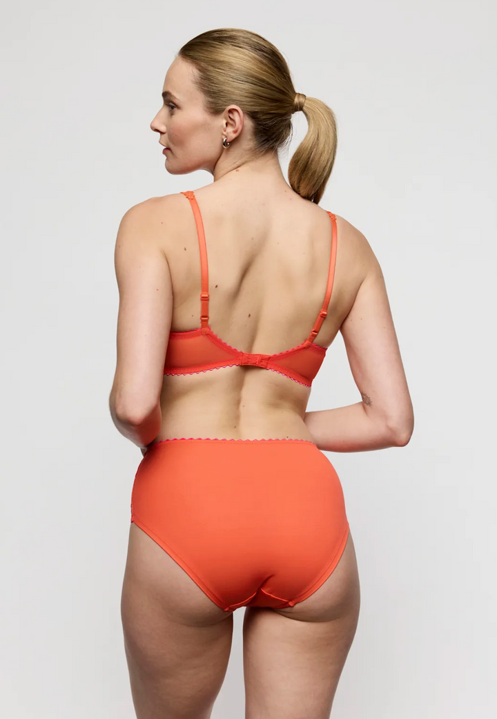 Solene Full Brief