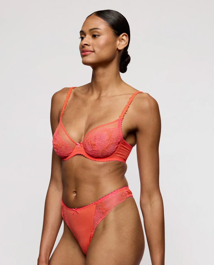 Solene Sheer Plunge Bra