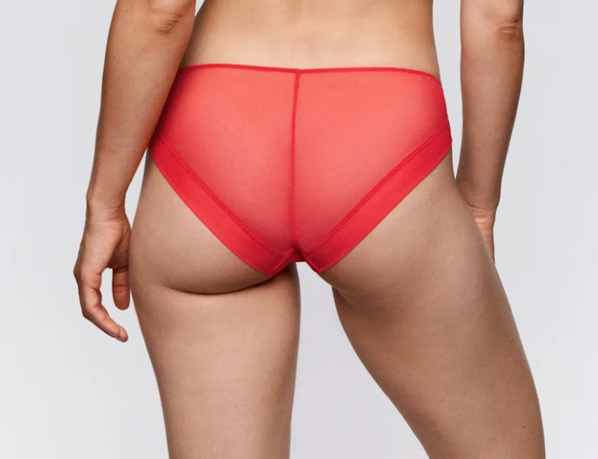 Lovelace Bikini Brief