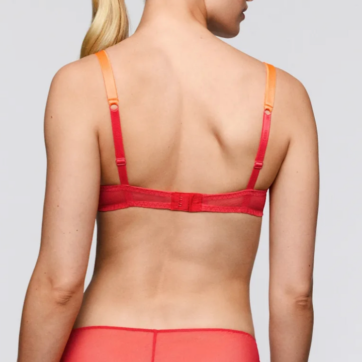 Lovelace Full Cup Bra