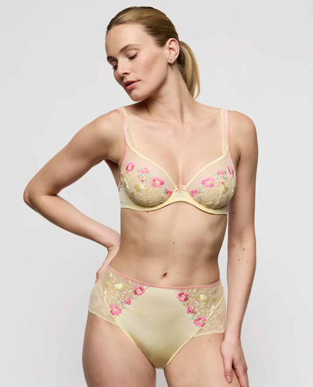 Lizelot Sheer Plunge Bra