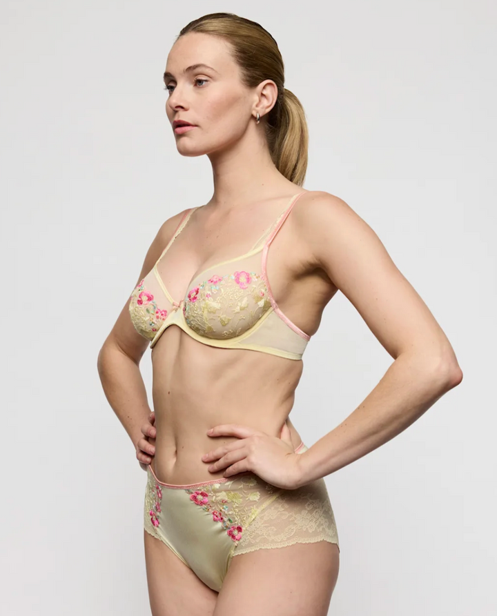 Lizelot Sheer Plunge Bra