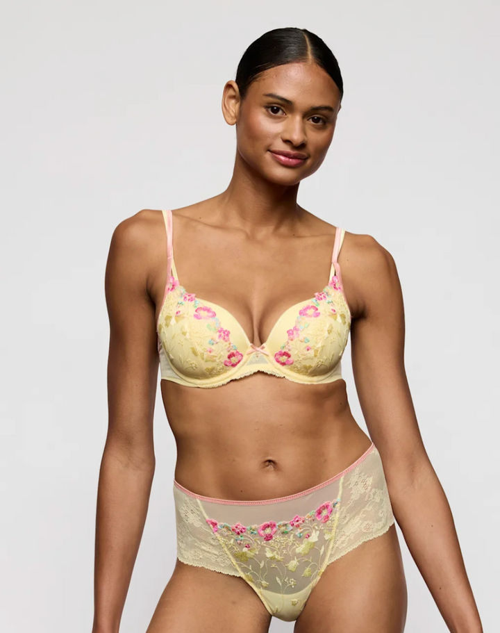Lizelot Plunge Bra