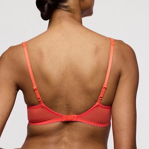Solene Sheer Plunge Bra