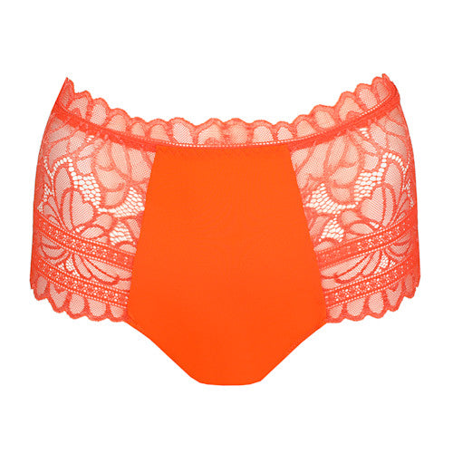 Cerina Special Brief