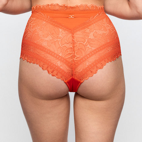 Cerina Special Brief