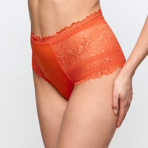 Cerina Special Brief