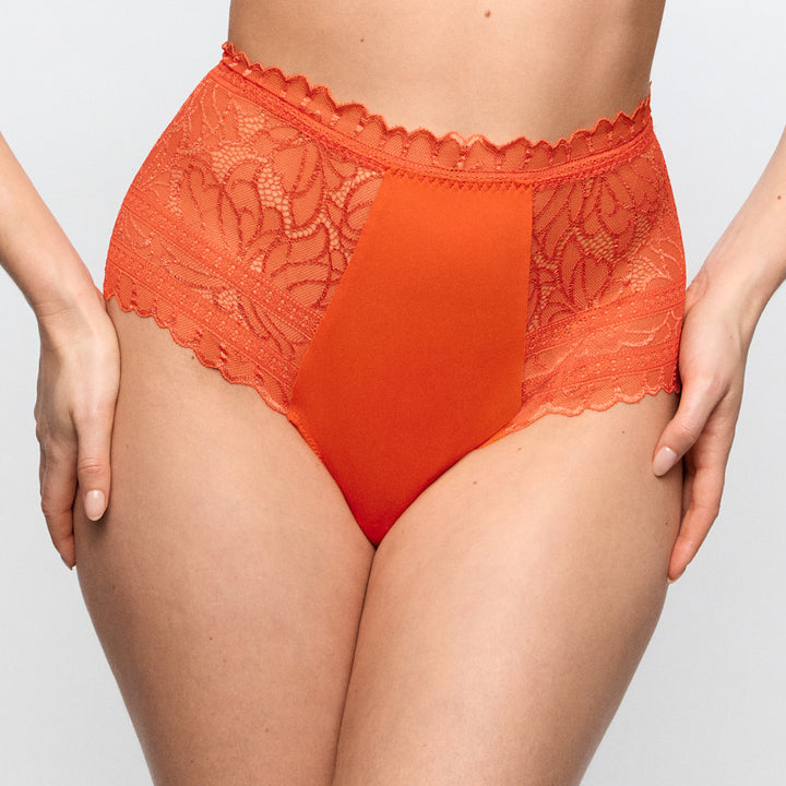 Cerina Special Brief