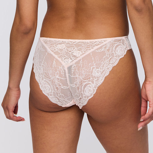 Cyrile Bikini Brief XS - 2XL