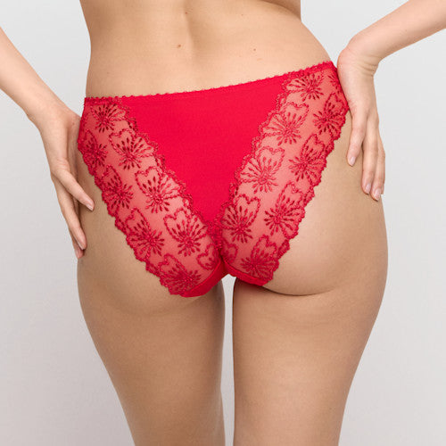 Jane Italian Brief