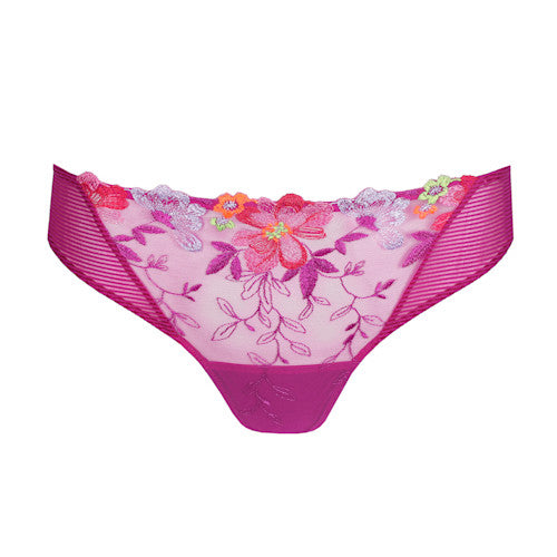Odilly Bikini Brief