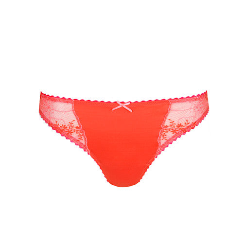 Solene Bikini Brief