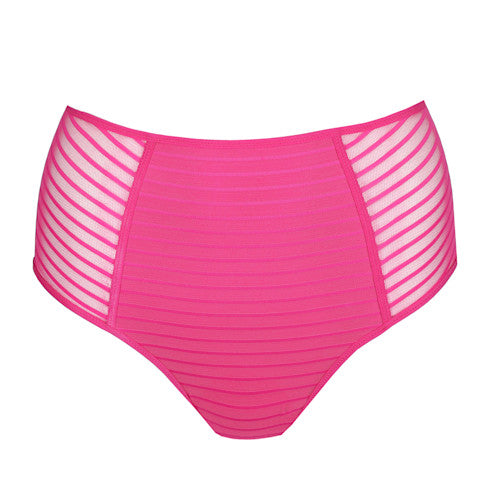 Basyl Full Brief