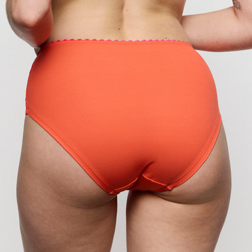 Solene Full Brief