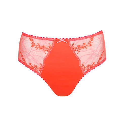 Solene Full Brief