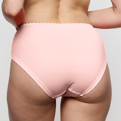 Solene Full Brief