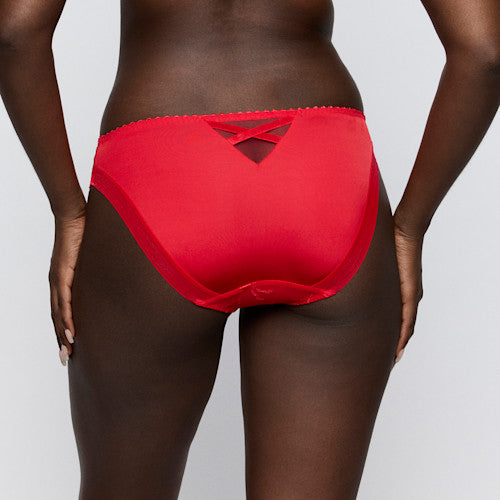Solisse Bikini Brief