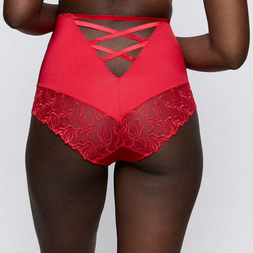 Solisse Special Brief