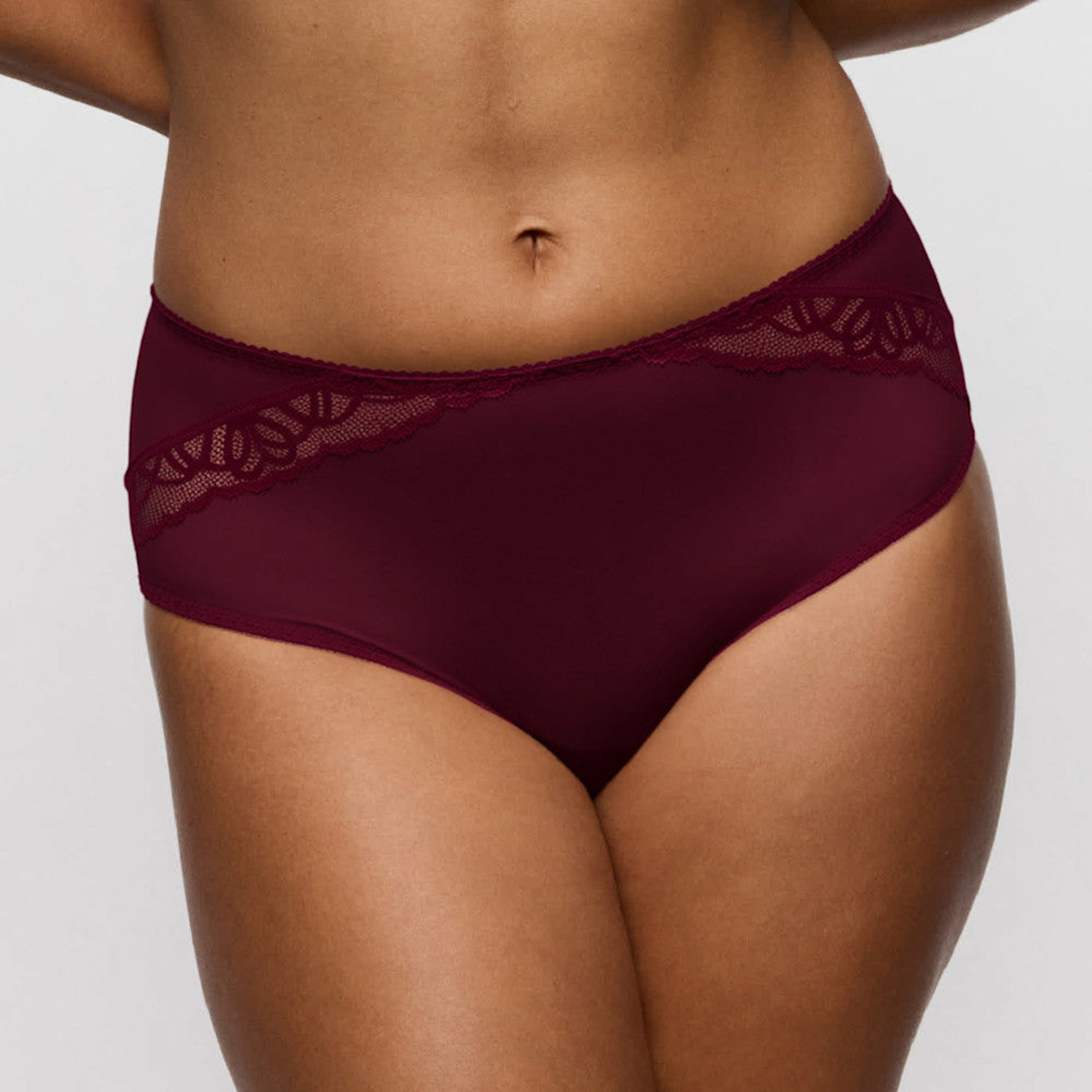 Salerno Full Brief