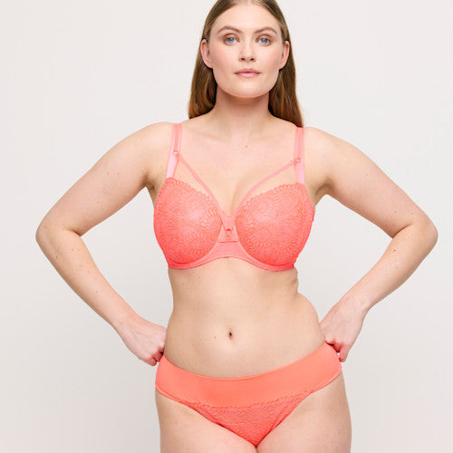 Sophora BIKINI BRIEF Spritz S - 3XL