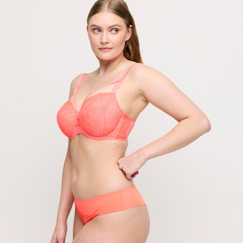 Sophora BIKINI BRIEF Spritz S - 3XL