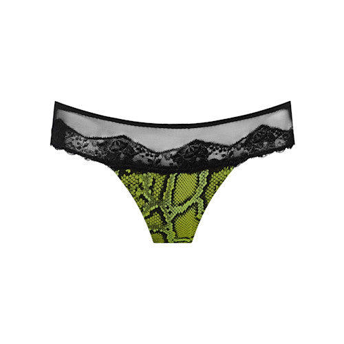 Bremer Thong