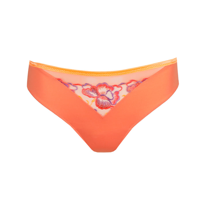 Devdaha Bikini Brief