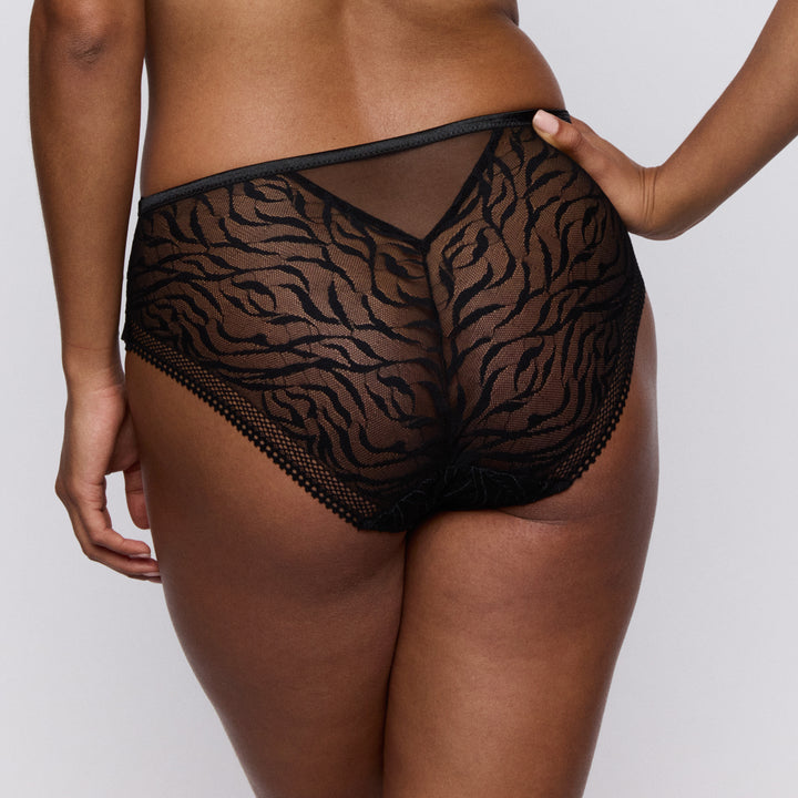 Seraya Full Brief